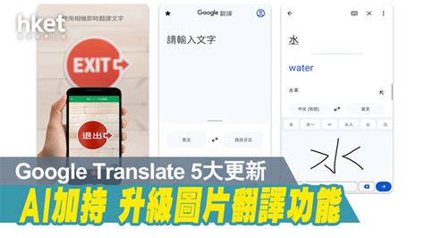 放鳥 語譯|Google Translate